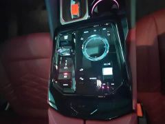 BMW 5 Series 530Li Luxury M Sport Package - photo 6