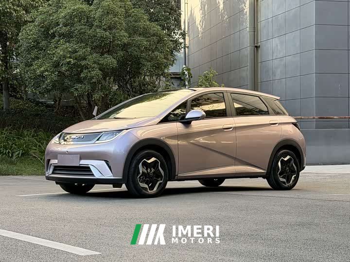 BYD Dolphin 405km Freedom Edition - автомобиль из Китая