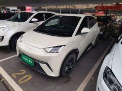 BYD Seagull Freedom Edition - photo 1