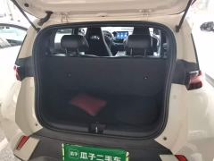 BYD Seagull Freedom Edition - photo 18