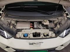 BYD Seagull Freedom Edition - photo 19