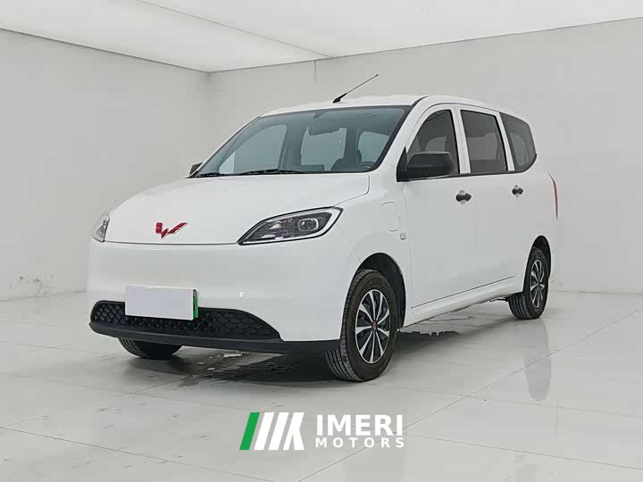 Wuling Hongguang New Energy 2024 Pure Electric Version 300KM Standard Type