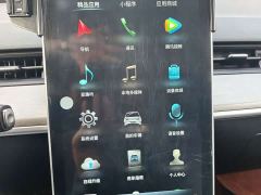 Neta V Trend 300 Lite Ternary Lithium - ფოტო 13