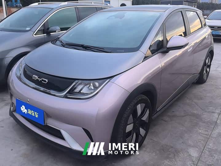 BYD Dolphin 401km Knight Edition - car from China