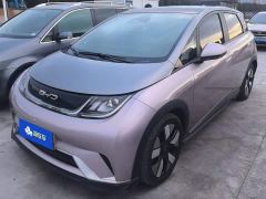 BYD Dolphin 401km Knight Edition - photo 1
