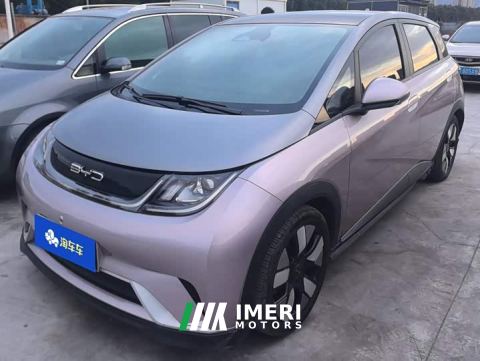 2021 BYD Dolphin 401km Knight Edition - car from China