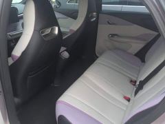 BYD Dolphin 401km Knight Edition - photo 11