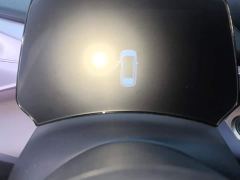 BYD Dolphin 401km Knight Edition - photo 14