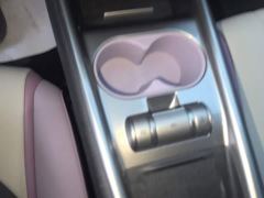 BYD Dolphin 401km Knight Edition - photo 16