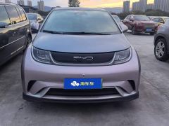 BYD Dolphin 401km Knight Edition - photo 2