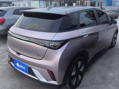 BYD Dolphin 401km Knight Edition - photo 3