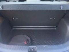 BYD Dolphin 401km Knight Edition - photo 4