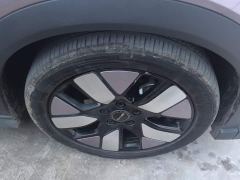 BYD Dolphin 401km Knight Edition - photo 6