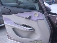 BYD Dolphin 401km Knight Edition - photo 7