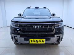 BYD 8 Luxury Edition 6 - photo 2