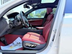 BMW 5 Series 530Li Luxury M Sport Package - ფოტო 13