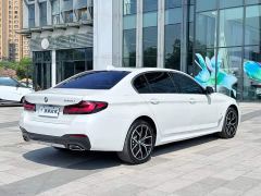 BMW 5 Series 530Li Luxury M Sport Package - ფოტო 7