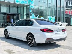 BMW 5 Series 530Li Luxury M Sport Package - ფოტო 8