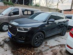 Haval H6 National Trend Edition 1.5T Automatic Urban Version - фото 1