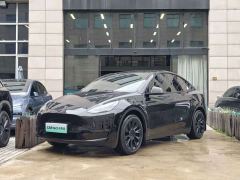 Tesla Model Y Standard Range RWD - ფოტო 1