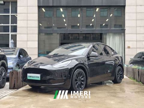 2021 Tesla Model Y Standard Range RWD - ავტომობილი ჩინეთიდან