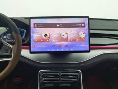 BYD Tang New Energy DM-i 112KM Premium Edition - photo 12