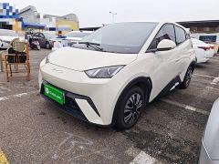 BYD Seagull Glory Edition 305km Vitality Version - ფოტო 1