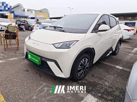 2024 BYD Seagull Glory Edition 305km Vitality Version - ავტომობილი ჩინეთიდან
