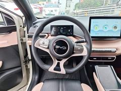 BYD Seagull Glory Edition 305km Vitality Version - ფოტო 10