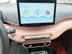 BYD Seagull Glory Edition 305km Vitality Version - ფოტო 12