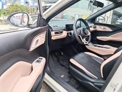 BYD Seagull Glory Edition 305km Vitality Version - ფოტო 15
