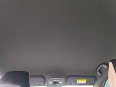 BYD Seagull Glory Edition 305km Vitality Version - ფოტო 17