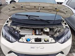 BYD Seagull Glory Edition 305km Vitality Version - ფოტო 19