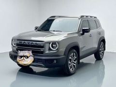 Great Wall Dachshund 1.5T DCT Border Collie Edition - ფოტო 1
