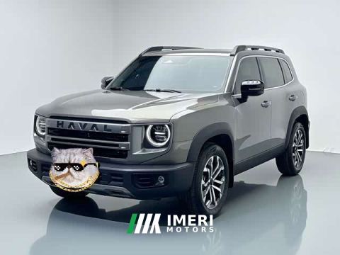 2025 Great Wall Dachshund 1.5T DCT Border Collie Edition - car from China