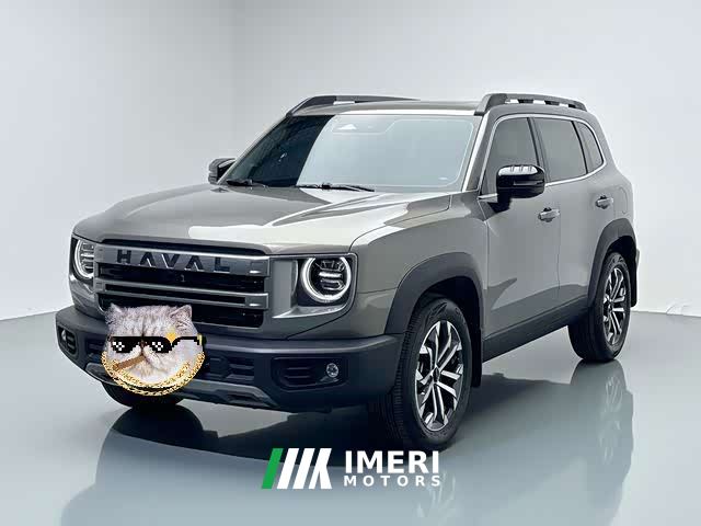 Great Wall Dachshund 1.5T DCT Border Collie Edition