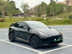 Tesla Model Y Rear-Wheel Drive - фото 3