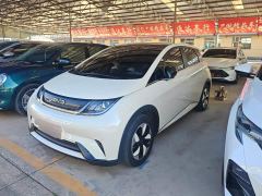 BYD Dolphin Glory Edition 420km Fashion Version - photo 1