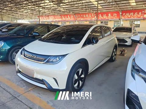 2024 BYD Dolphin Glory Edition 420km Fashion Version - ავტომობილი ჩინეთიდან