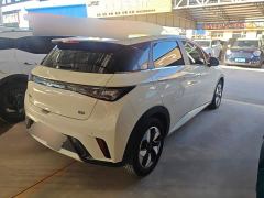 BYD Dolphin Glory Edition 420km Fashion Version - photo 3