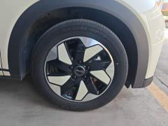 BYD Dolphin Glory Edition 420km Fashion Version - photo 6
