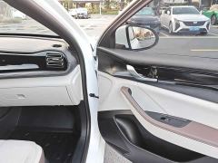 BYD Qin PLUS Glory Edition DM-i 55KM Leading - photo 19