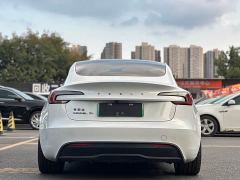 Tesla Model 3 Long Range All-Wheel Drive - photo 15