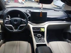 BYD Song Plus New Energy DM-i 110KM Flagship Plus - photo 12