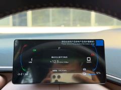BYD Seagull 305km Freedom Edition - ფოტო 10