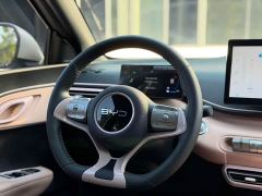 BYD Seagull 305km Freedom Edition - ფოტო 11