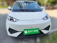 BYD Seagull Smart Driving Edition 305km Freedom Edition - ფოტო 2