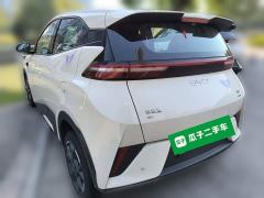 BYD Seagull Smart Driving Edition 305km Freedom Edition - ფოტო 4