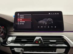 BMW 5 Series 530Li Premier Luxury Package - ფოტო 13
