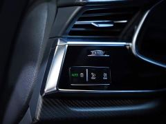 Audi RS Q8 RS Q8 4.0T - photo 18
